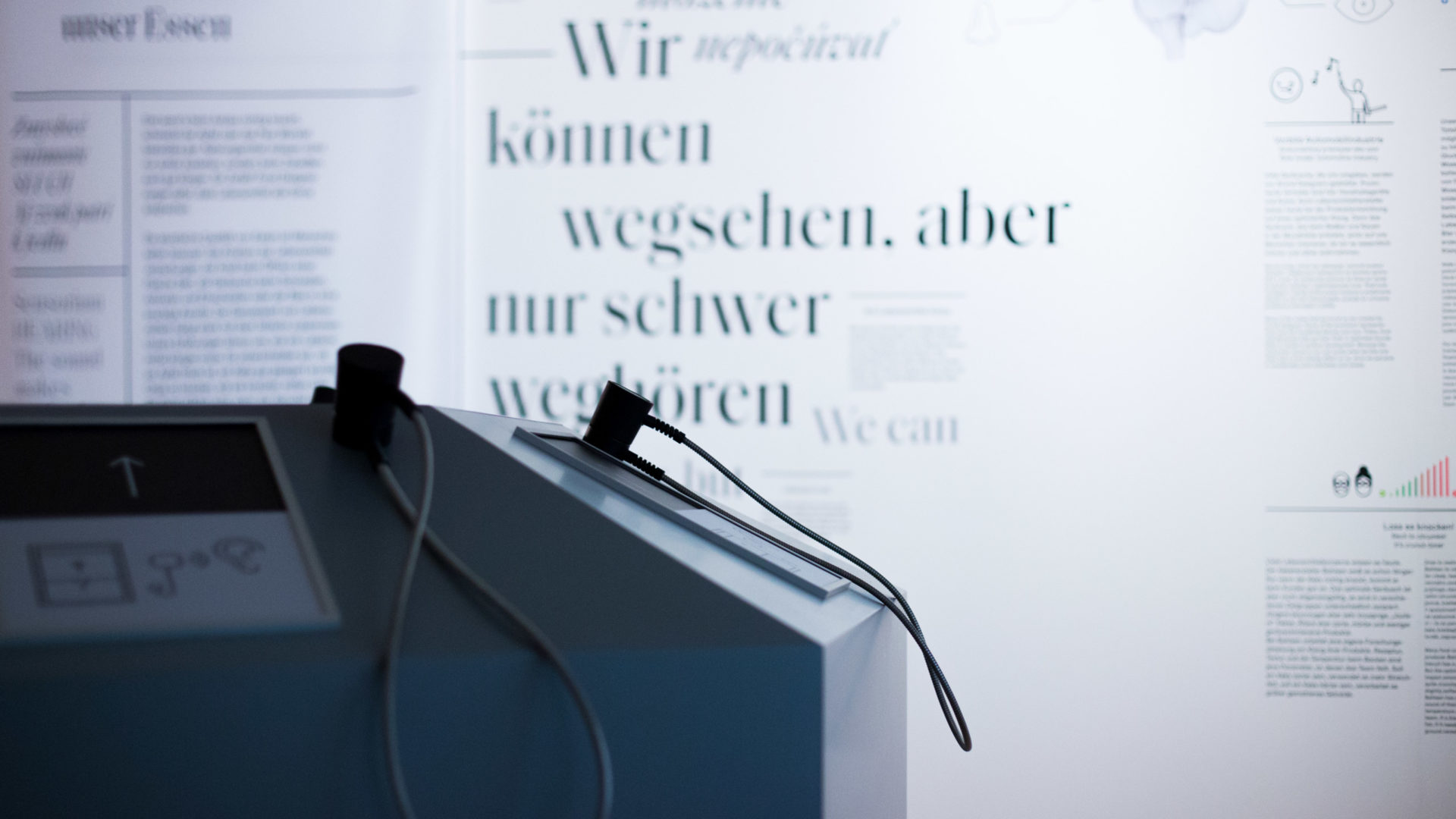 11__Schloss_Niederweiden_Leiter